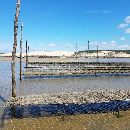Au Coeur Du Bassin Arcachon * La Teste-de-Buch