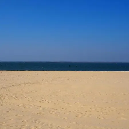 Au Coeur Du Bassin Arcachon Daire La Teste-de-Buch