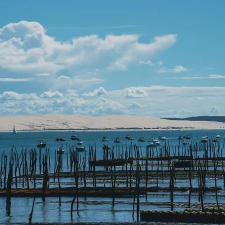 Au Coeur Du Bassin Arcachon Daire
